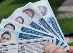 ¿Cómo saber si tu licencia de conducir sigue vigente o está suspendida?