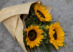 La tradición de regalar flores amarillas nació en Argentina con la serie Floricienta.