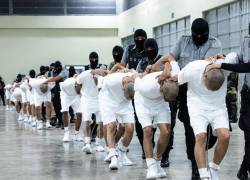 Fotografía de presos dentro del Centro de Confinamiento de Terrorismo (CECOT) en El Salvador.