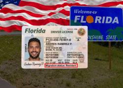Imagen referencial de licencia de conducir de Florida.