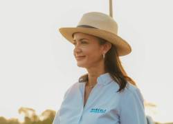 Aguiñaga permanecerá en funciones en la Prefectura del Guayas hasta el 14 de mayo.