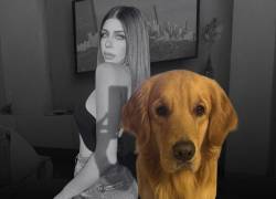 El perro 'Luca' habría sido el anzuelo para matar a Carolina Flores.