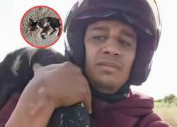 Sentencian con ocho meses de prisión a conocido youtuber por consumir un perro en Marruecos