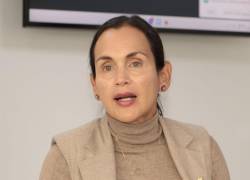 Manzano indicó que la intervención tuvo como objetivo mejorar la distribución eléctrica.