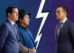 Andrés Arauz y Guido Perugachi han convocado a una revocatoria en contra de Daniel Noboa, quien fue elegido para gobernar durante el periodo 2025-2029.