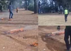 Capturas de pantalla de la detención de sujeto incendiando cables en Quito.