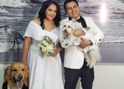 Ceremonias con animales de compañía se incoporan en el Registro Civil en varias provincias del país