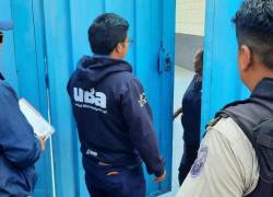 Sancionan con más de USD 11.000 a persona que maltrató a sus perros en Quito