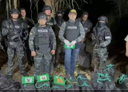 Tres toneladas de droga incautadas en Manabí: Reimberg dice que encontrarán las caletas de Los Choneros