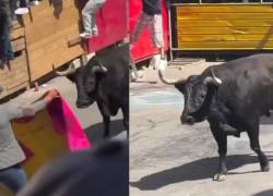 Suelta de toros, durante uno de los ataques en México.