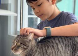 Niños les leen a gatos y perros de un refugio en Estados Unidos para que se sientan acompañados