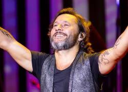 El artista argentino transformó un dolor personal en una emotiva balada lanzada en 2010.