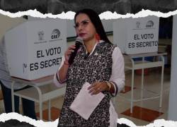 Composición fotográfica: Diana Atamaint y las elecciones seccionales.