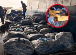 Decomisan más de 21.000 aletas de tiburón en el aeropuerto de Guayaquil