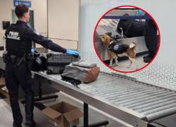 Agentes de control en el aereopuerto de Florida.