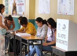 El CNE publicará este 9 de octubre el listado de ecuatorianos designados como miembros de mesa para el referéndum y consulta popular.