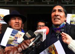 Pérez cuestionó la relación del Ejecutivo con las empresas mineras.