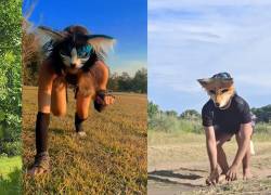 Jóvenes en Argentina y Uruguay visibilizan en redes su identificación con animales bajo el nombre de “therian”.