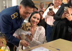 Bodas 'Pet Friendly' en Ecuador: las mascotas ahora pueden ser testigos en el Registro Civil