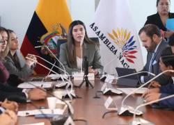 Comisión de Desarrollo Económico analizará segundo proyecto de ley urgente de Noboa.