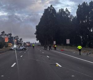 Fotografía que muestra el auto gris en el que se movilizaban los uniformados.