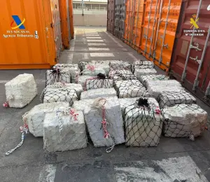 La droga incautada en el Puerto de Valencia, España.