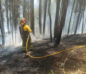 Bomberos controlando uno de los incendios forestales en la ciudad de Quito.