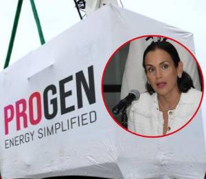 Composición fotográfica de los cargamentos de Progen que llegaron a Ecuador y la exministra Inés Manzano.
