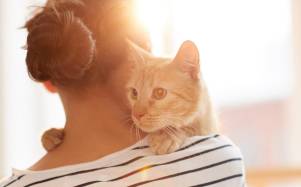 Una mujer se reencuentra con su gato 17 años después de perderlo en Francia