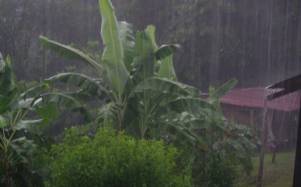 El Inamhi alertó de posible lluvias intensas en la región amazónica del Ecuador.