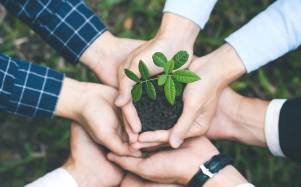 Iniciativa Darwin 2026: Cómo postular a los fondos del Reino Unido para proyectos ambientales en Ecuador