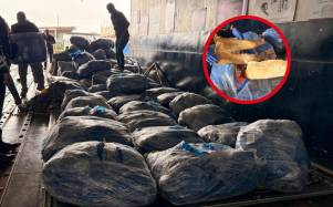 Decomisan más de 21.000 aletas de tiburón en el aeropuerto de Guayaquil