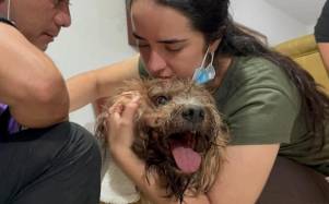 'Si él sobrevivió, ellas también': el rescate del perro Antonio reaviva la esperanza de una familia atrapada tras el terremoto en Cali