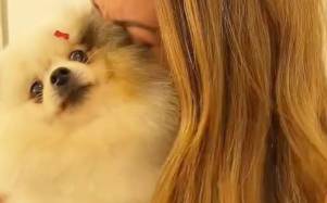 El reencuentro de Denisse Molina con su perrita Firda.
