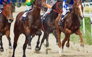 El recorrido comenzará con un desfile y continuará con una cabalgata hasta el autódromo de Yahuarcocha.