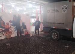 Ataque armado en una gallera deja múltiples muertos y heridos en Manabí.