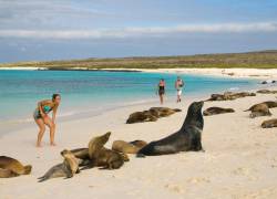 Galápagos rompe récord de turistas en el primer trimestre del 2023