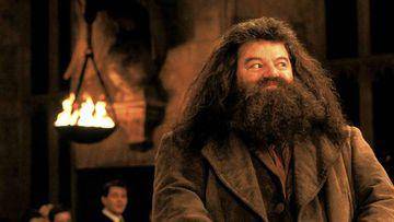 A los 72 años, muere Robbie Coltrane, el gigante Hagrid de Harry Potter