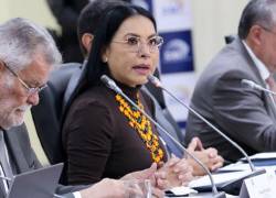 Diana Atamaint hizo una aclaración ante las alertas de Correa y Arauz.