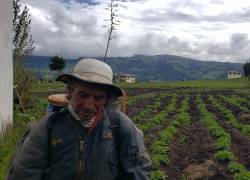 En la provincia de Cañar, los efectos del cambio climático se han hecho presentes en la pérdida de cultivos y alimentos para la población indígena de la zona.