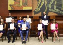 Los siete nuevos consejeros son o fueron empleados públicos, cinco de ellos empezaron su carrera burocrática durante el gobierno de Rafael Correa. Cuatro son abogados.