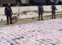 Más de tres toneladas de cocaína, que eran trasladadas en un trailer, fueron incautadas por la Policía Nacional en Guayaquil.