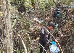 Hallan restos óseos durante la búsqueda de María Belén Bernal, en el cerro Casitagua