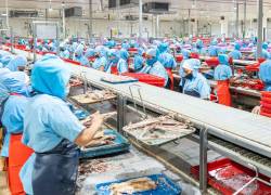 NIRSA alcanzó en 2025 hitos clave en sostenibilidad ambiental y social, innovación y expansión internacional.