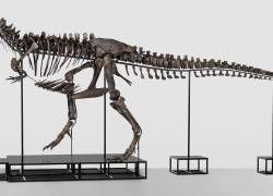 El tiranosaurio Trinity fue vendido hoy en Suiza. El primer T.Rex en subastarse en Europa continental.