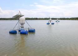 Movistar Empresas implementó conectividad masiva de banda ancha con alta disponibilidad a las camaroneras de Grupo Nueva Pescanova en la isla Los Quiñones a 60 Km de Durán.