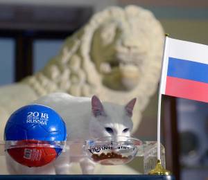 ¿Sabías que un gato sordo fue el 'oráculo' del Mundial de 2018?