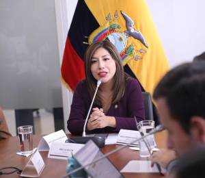 Inés Alarcón, presidenta de la Comisión de Soberanía, Integración y Seguridad Integral.