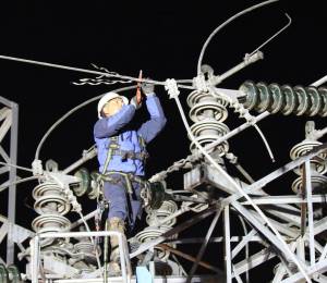 Se realizaron trabajos preventivos en los sistemas de transmisión y distribución eléctrica.