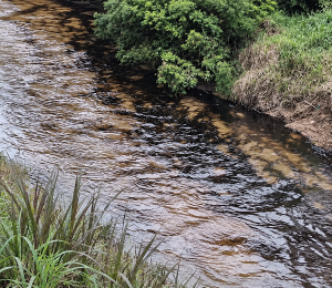 Fotografía que muestra la contaminación en el río Cupa.
